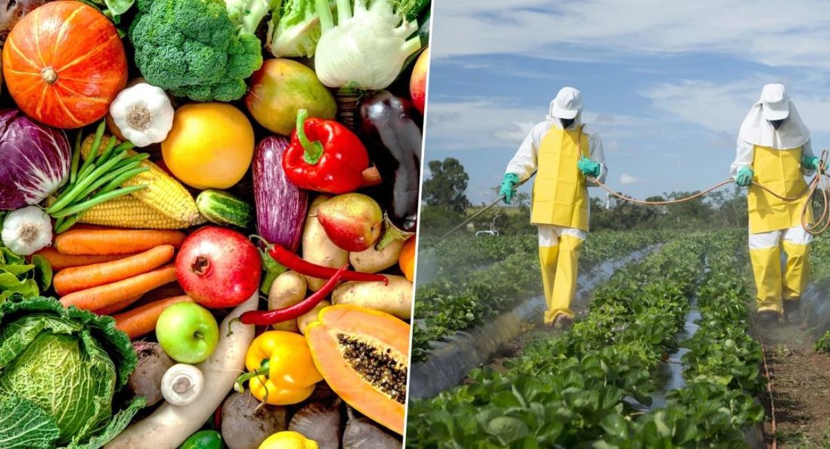 Hoe Vrij Van Pesticiden Zijn Onze Groenten En Fruit?